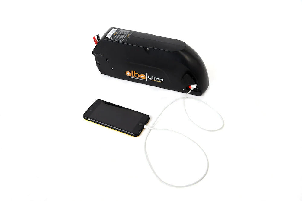 Alba 250RH Pro Electric Bicycle Kit 250W 29 Rim Disc Brake 48V 7.8Ah