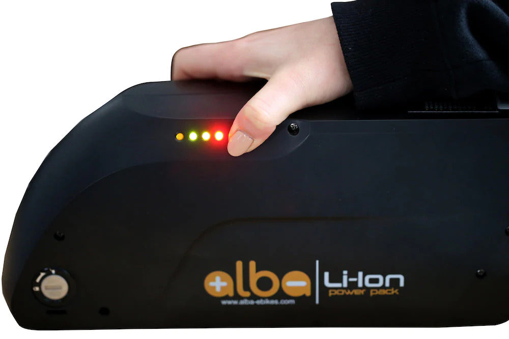 Alba 250RH Pro Electric Bicycle Kit 250W 29 Rim Disc Brake 48V 7.8Ah