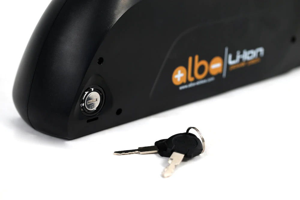 Alba 250RH Pro Electric Bicycle Kit 250W 29 Rim Disc Brake 48V 7.8Ah