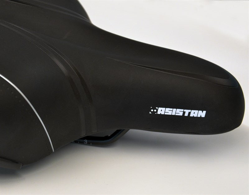 Asistan Şehir Bisikleti Selesi Comfy C500