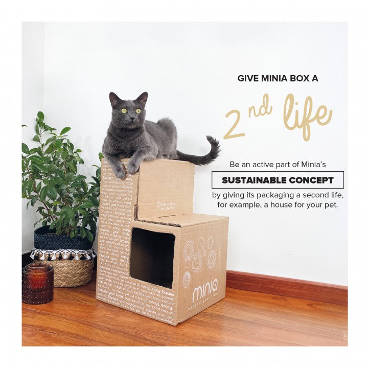 Polisport Minia CFS Arka Çocuk Koltuğu