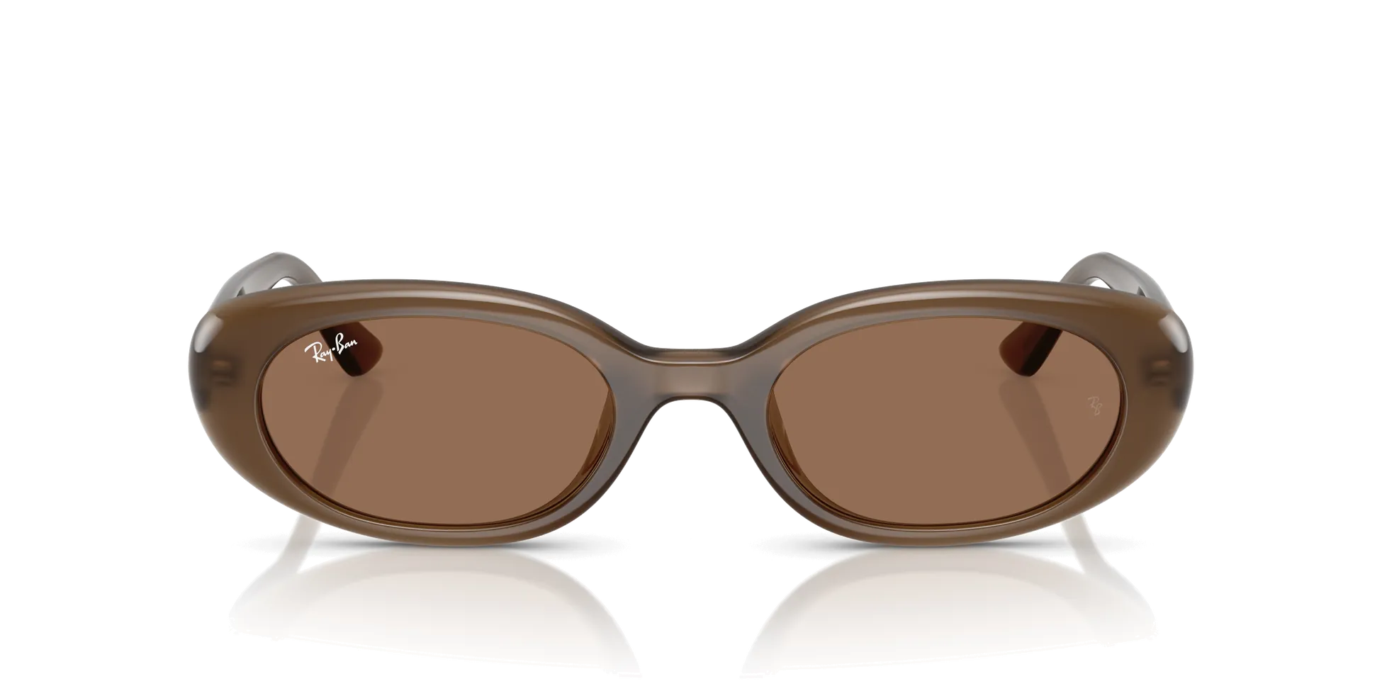 Ray-Ban RB4441D Güneş Gözlüğü 677973 Opal Brown Dark Brown 53 Ekartman