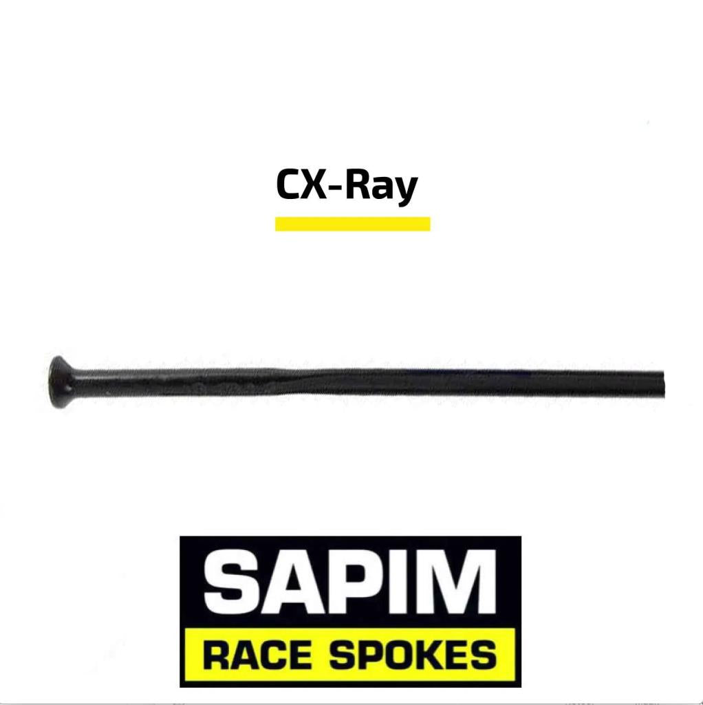 Sapim CX Ray SP Jant Teli Straight Pull Düz Başlı 294mm Siyah