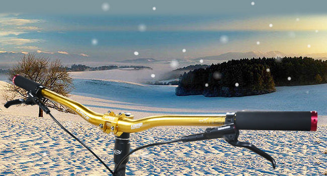 Wake Aluminum Handlebar 780mm Riser 31.8mm Blue