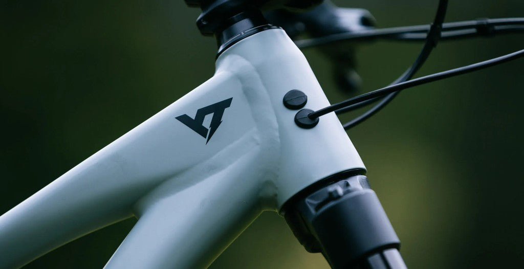 YT Capra 29 CORE 2 AL Enduro Dağ Bisikleti 2026