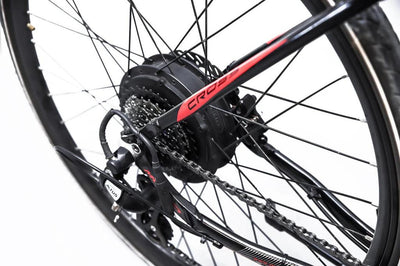 Alba 250RH Pro Electric Bike Kit 250W 13Ah (624Wh) DS6 29 Rim Disc Brake 48V