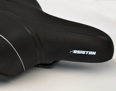 Asistan Şehir Bisikleti Selesi Comfy C500