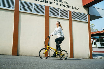 Dahon Boardwalk D8 20 Jant Katlanır Bisiklet 2026