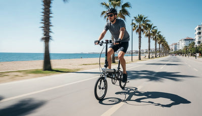 Dahon K3 D3 14 Jant Katlanır Bisiklet 2026