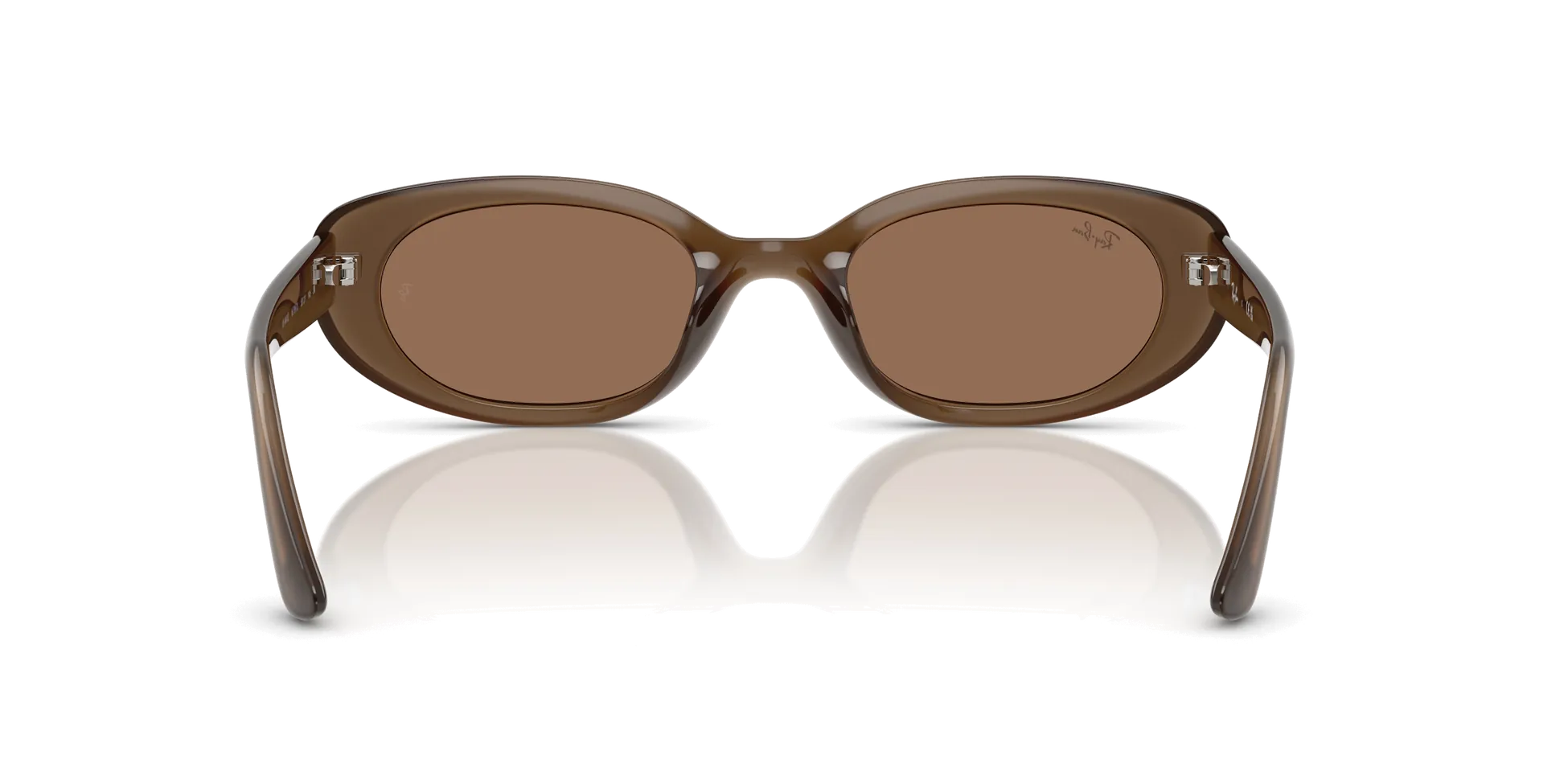 Ray-Ban RB4441D Güneş Gözlüğü 677973 Opal Brown Dark Brown 53 Ekartman