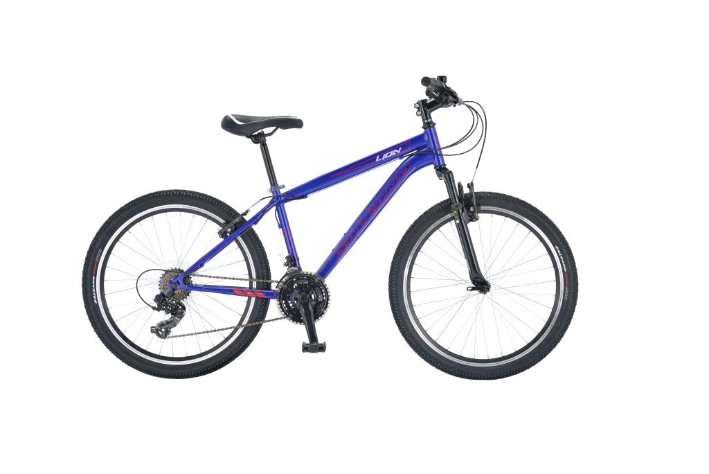 Salcano Lion 24 Jant V fren Çocuk Bisikleti 2025 Model