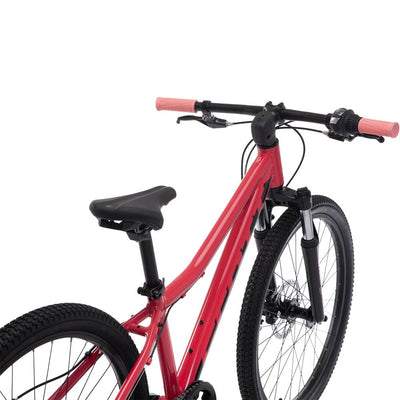 Scott Contessa 24 Disc 2020 Model Bayan Dağ Bisikleti