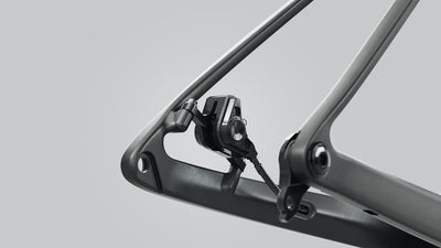 Scott Scale 910 Dağ Bisikleti 2024 290167