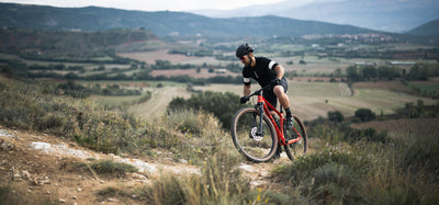 Scott Scale 980 Dağ Bisikleti 2025 290188