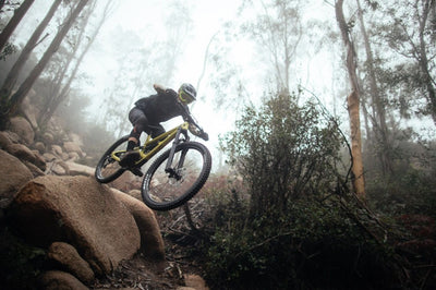 YT Capra 29 CORE 1 AL Enduro Dağ Bisikleti 2026