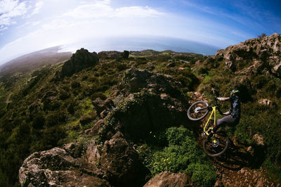 YT Capra 29 CORE 1 AL Enduro Dağ Bisikleti 2026