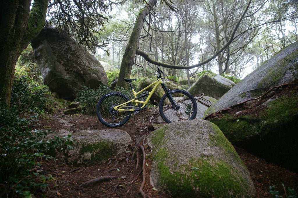 YT Capra 29 CORE 1 AL Enduro Dağ Bisikleti 2026