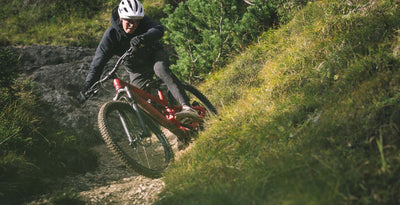 YT Capra 29 CORE 2 CF Карбоновый эндуро-велосипед 2026