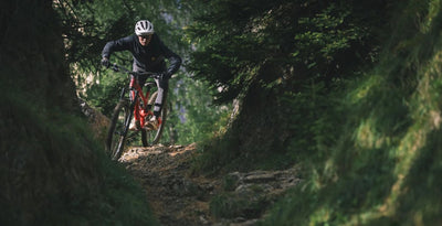 YT Capra 29 CORE 2 CF Karbon Enduro Dağ Bisikleti 2026