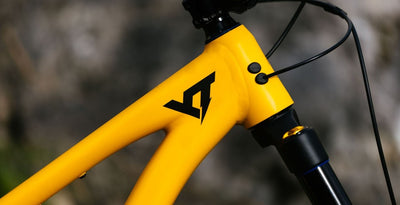 YT Capra 29 CORE 3 AL Enduro Dağ Bisikleti 2026