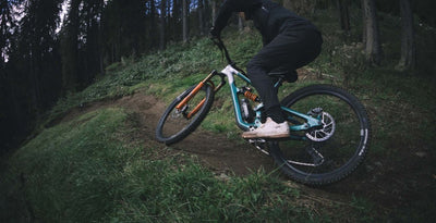 YT Capra 29 CORE 4 CF Karbon Enduro Dağ Bisikleti 2026