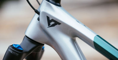YT Capra 29 CORE 4 CF Karbon Enduro Dağ Bisikleti 2026
