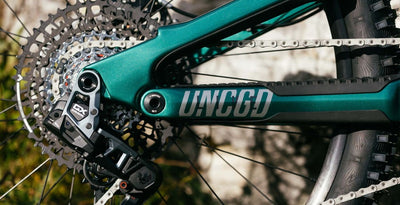 YT Capra 29 CORE 4 CF Karbon Enduro Dağ Bisikleti 2026