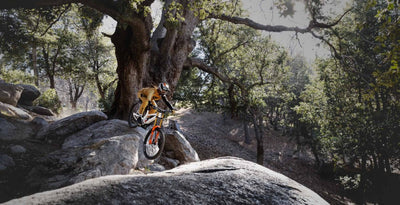 YT Tues MX CORE 4 Carbon Downhill Mountain Bike 2026