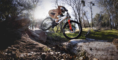 YT Tues MX CORE 4 Carbon Downhill Mountain Bike 2026